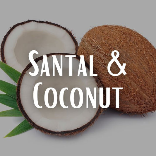 Santal & Coconut Scent Refill