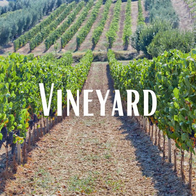 Vineyard Scent Refill