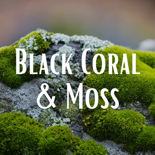 Black Coral & Moss Scent Refill