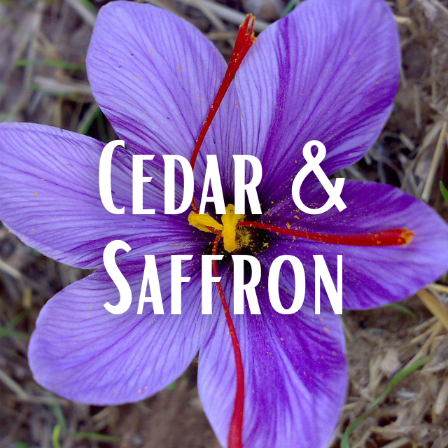 Cedar & Saffron Refills
