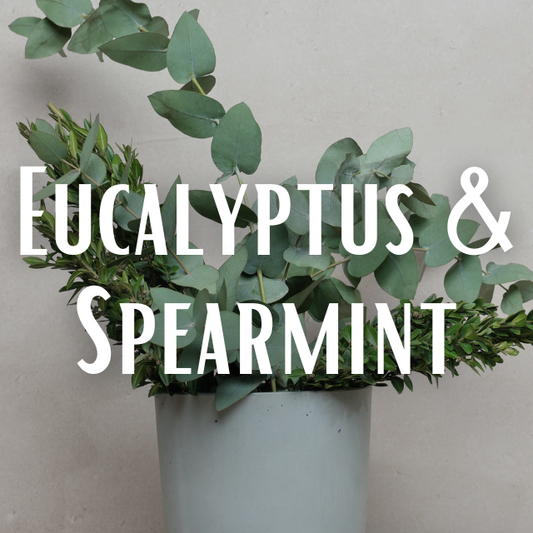 Eucalyptus & Spearmint Scent