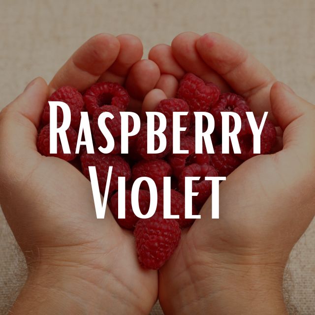 Raspberry Violet Scent Refill – Candle Envy