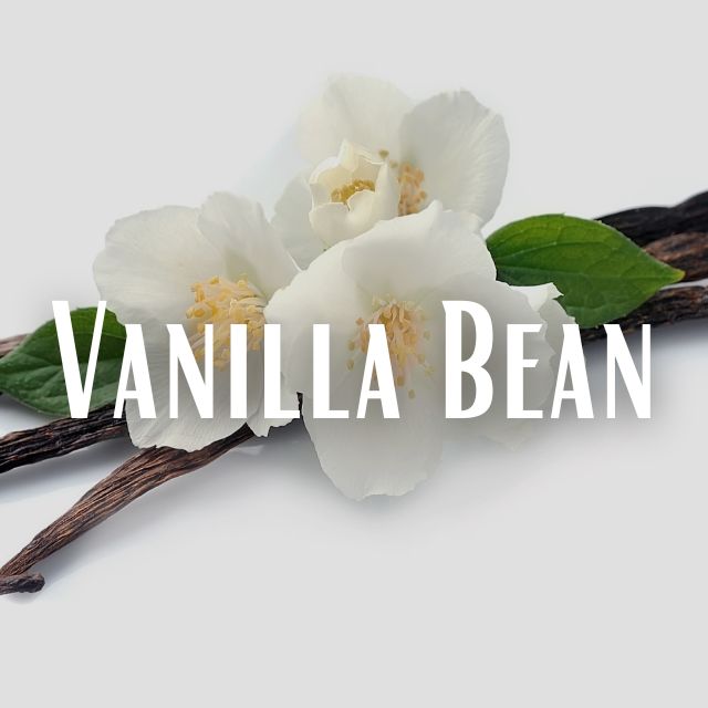 Vanilla Bean Scent Refill