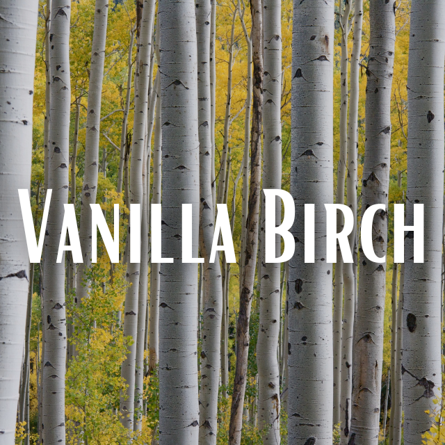Vanilla Birch Scent Refill