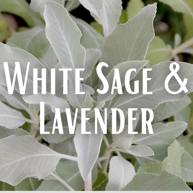 White Sage & Lavender Scent Refill