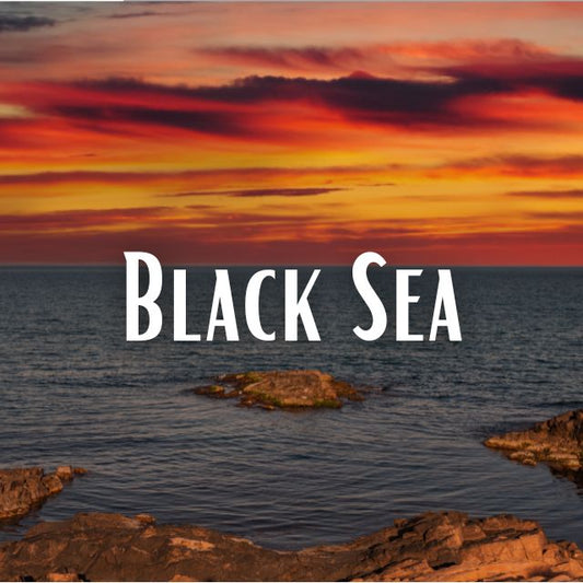 Black Sea Scent Refill