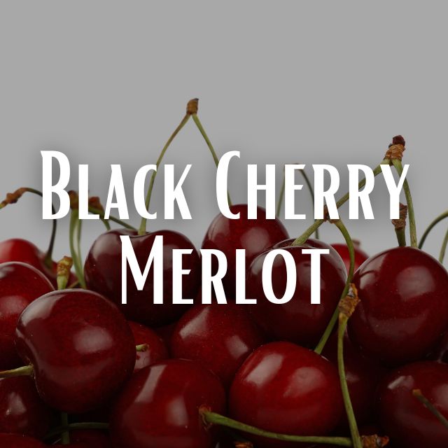 Black Cherry Merlot Scent Refill Candle Envy