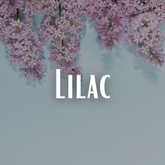 French Lilac Scent Refill