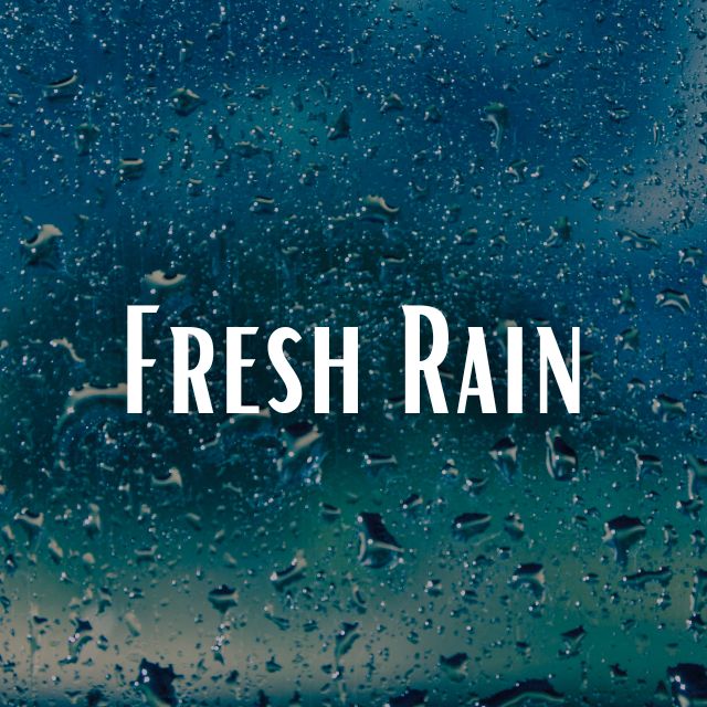 Fresh Rain Scent Refill