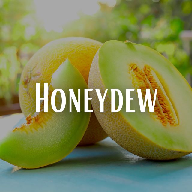 Honeydew Scent Refill